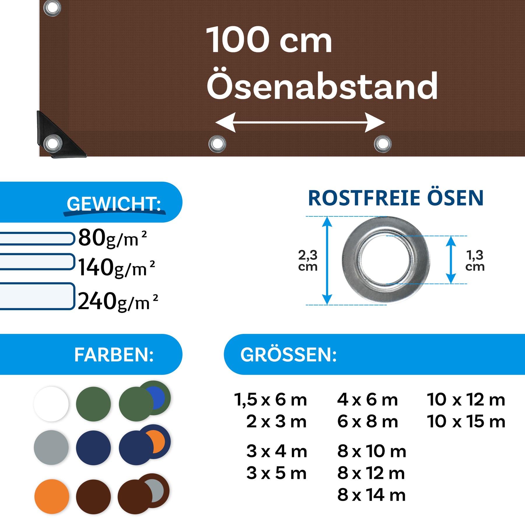T2_Bruin