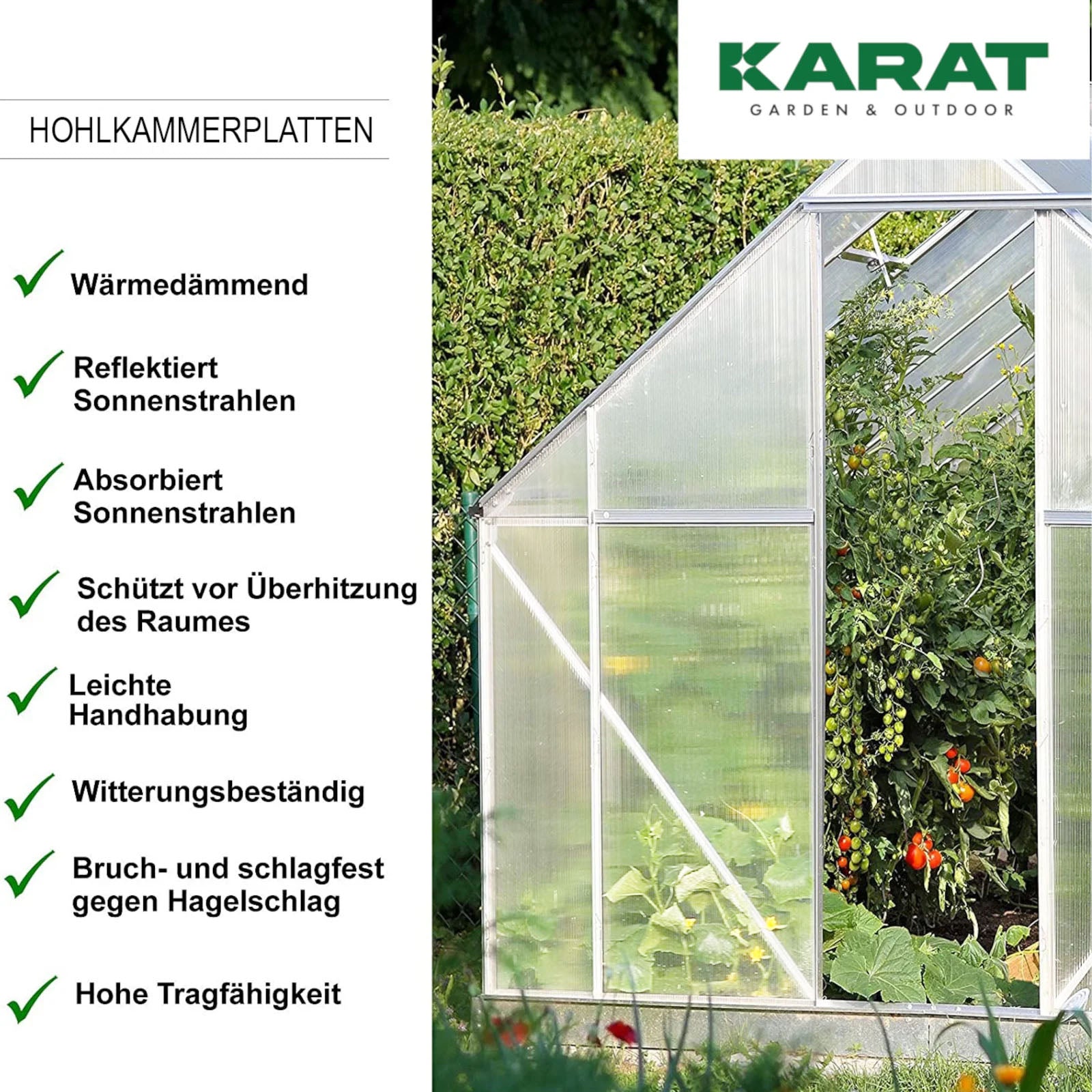 Dubbelwandige plaat | 60,5 x 121 cm | Voor DIY & Bouw