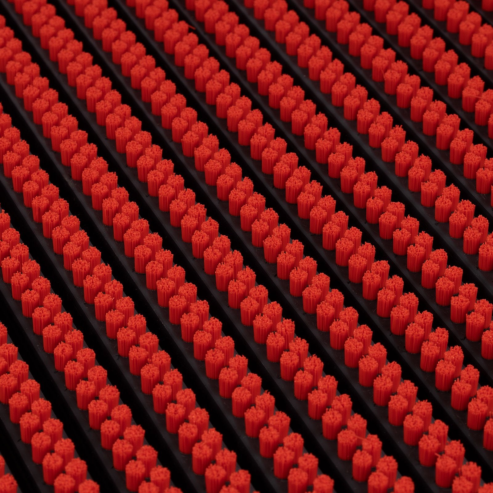 F3_Rood