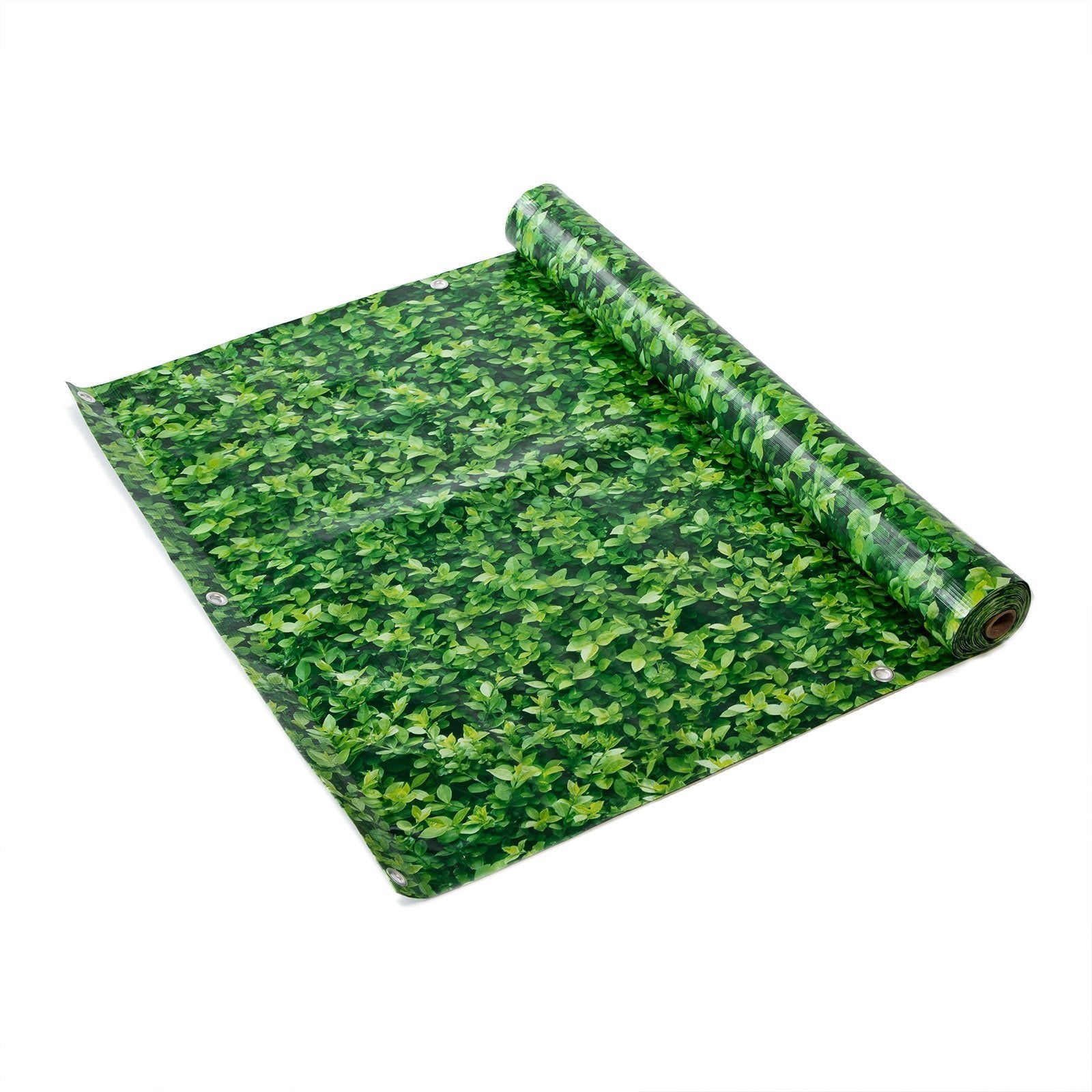 F1_Buxus | Buxus