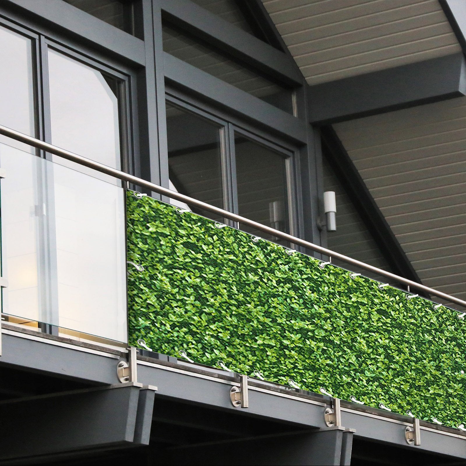 A1_Buxus | Buxus