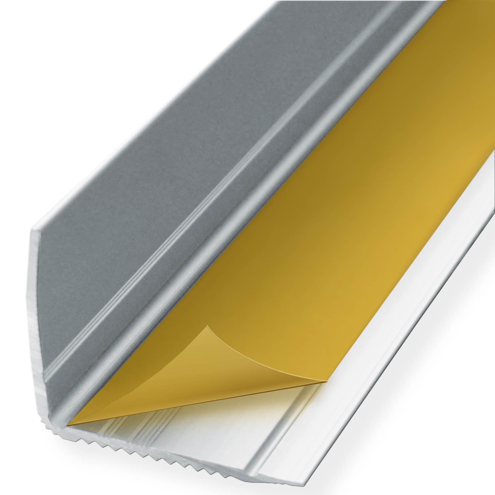 F2_Zilver