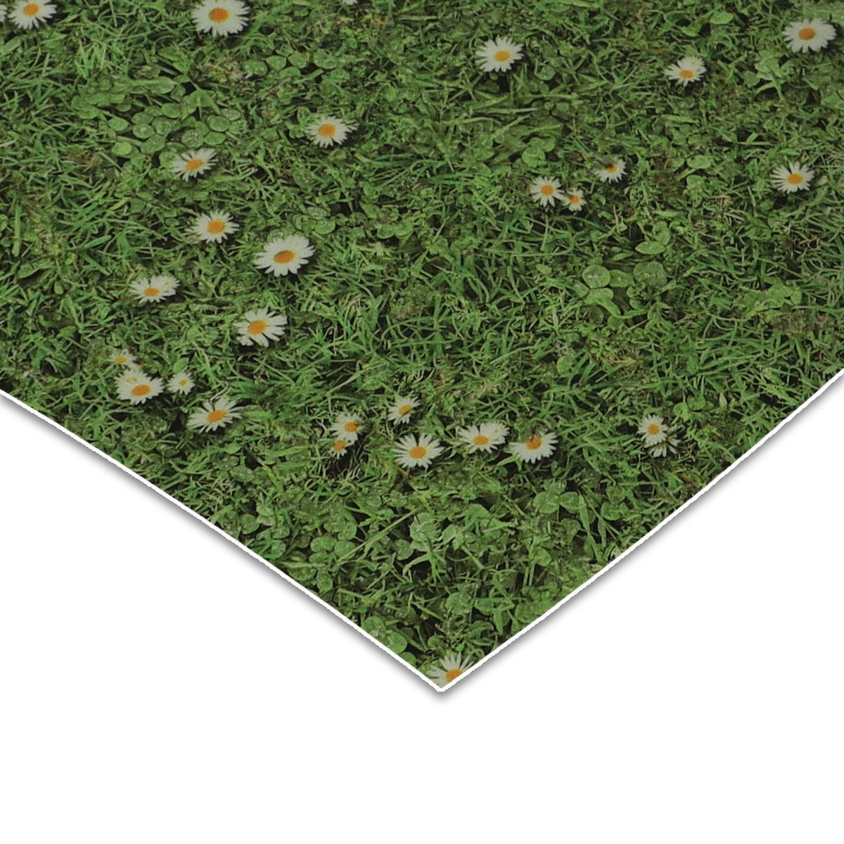 ✂ 3D CV vloer | Daisies | op maat | verschillende breedtes