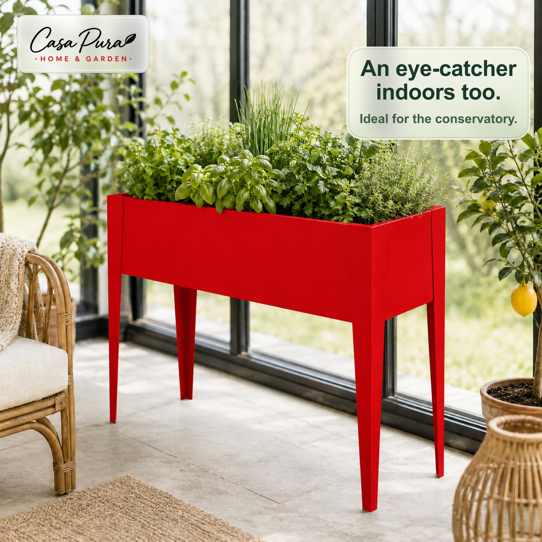 T2_Rood