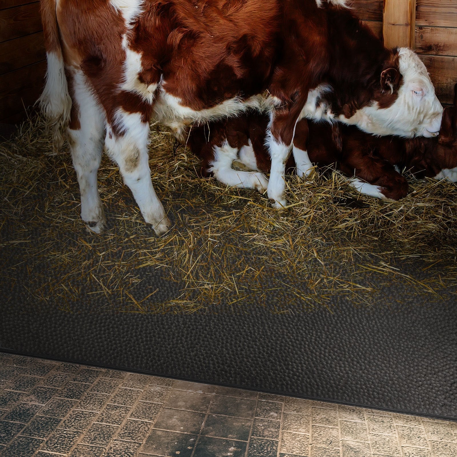 ✂ Cow Bed Matress | GW4005 | Dikte: 4,5 mm | Breedte: 200 cm