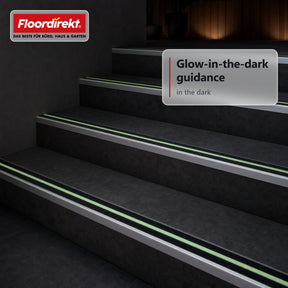 Trapneusprofiel | Aura | Aluminium antislipprofiel met nagloeiende lichtstrip