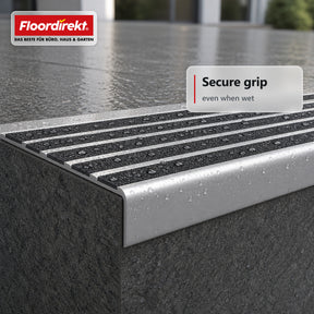 Trapneusprofiel | Titan | Antislipprofiel van aluminium met antislip-inleg
