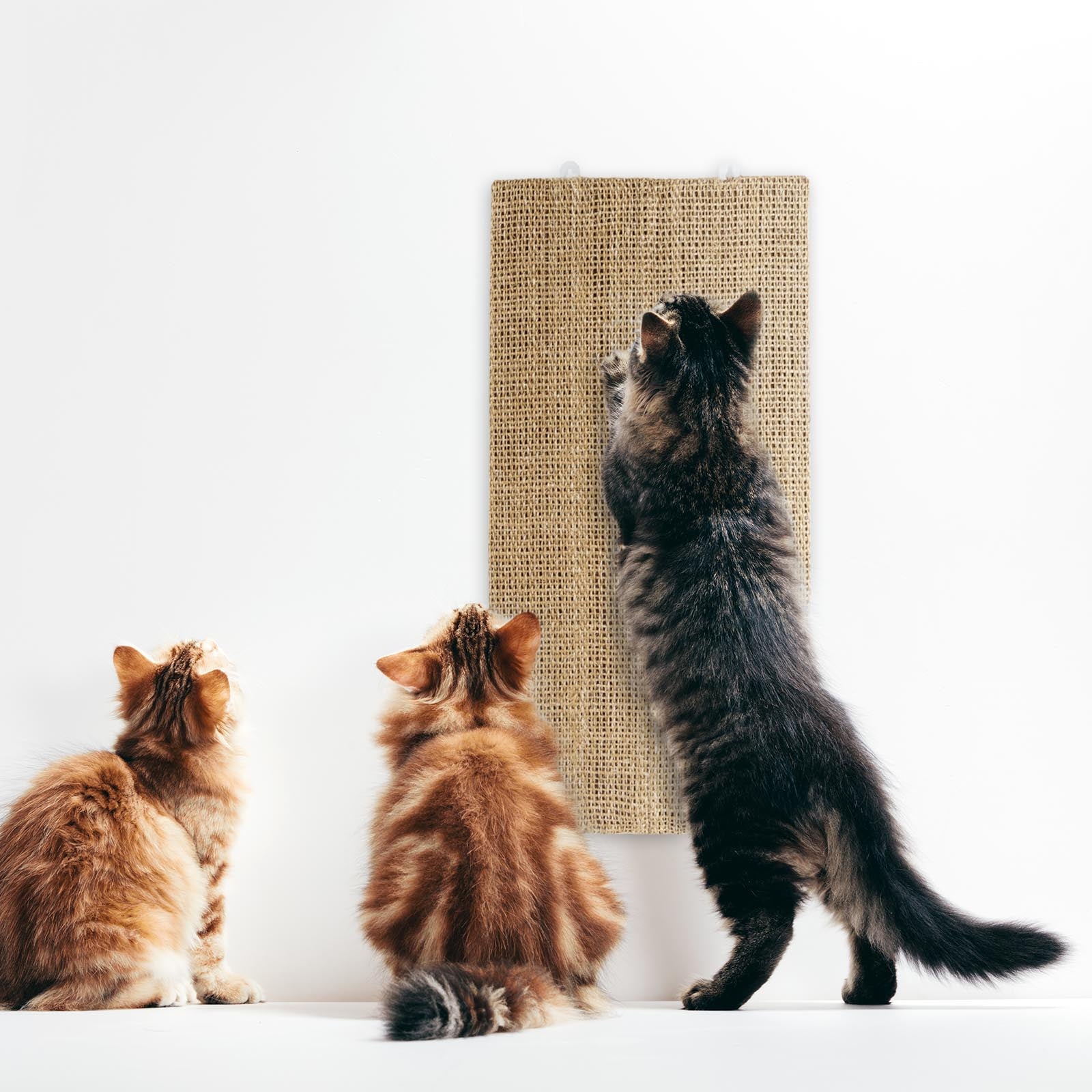 Krabplank voor katten, sisal, krabmat, sisal, kattenspeelgoed, houten structuur voor kattenslijpklauwen en ter bescherming van tapijtmeubels, natuurlijke bamboehouder