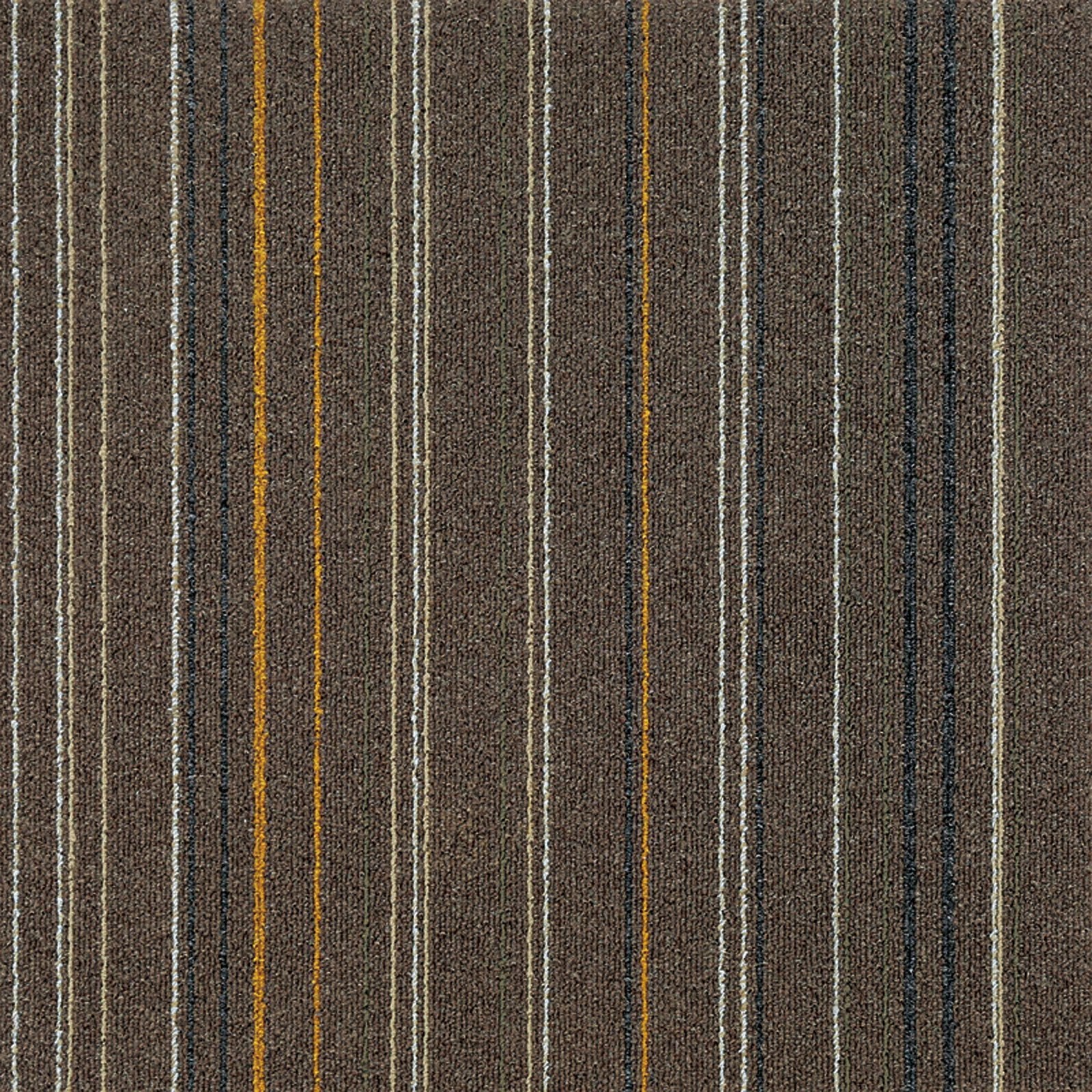 F3_Bruin | Bruin