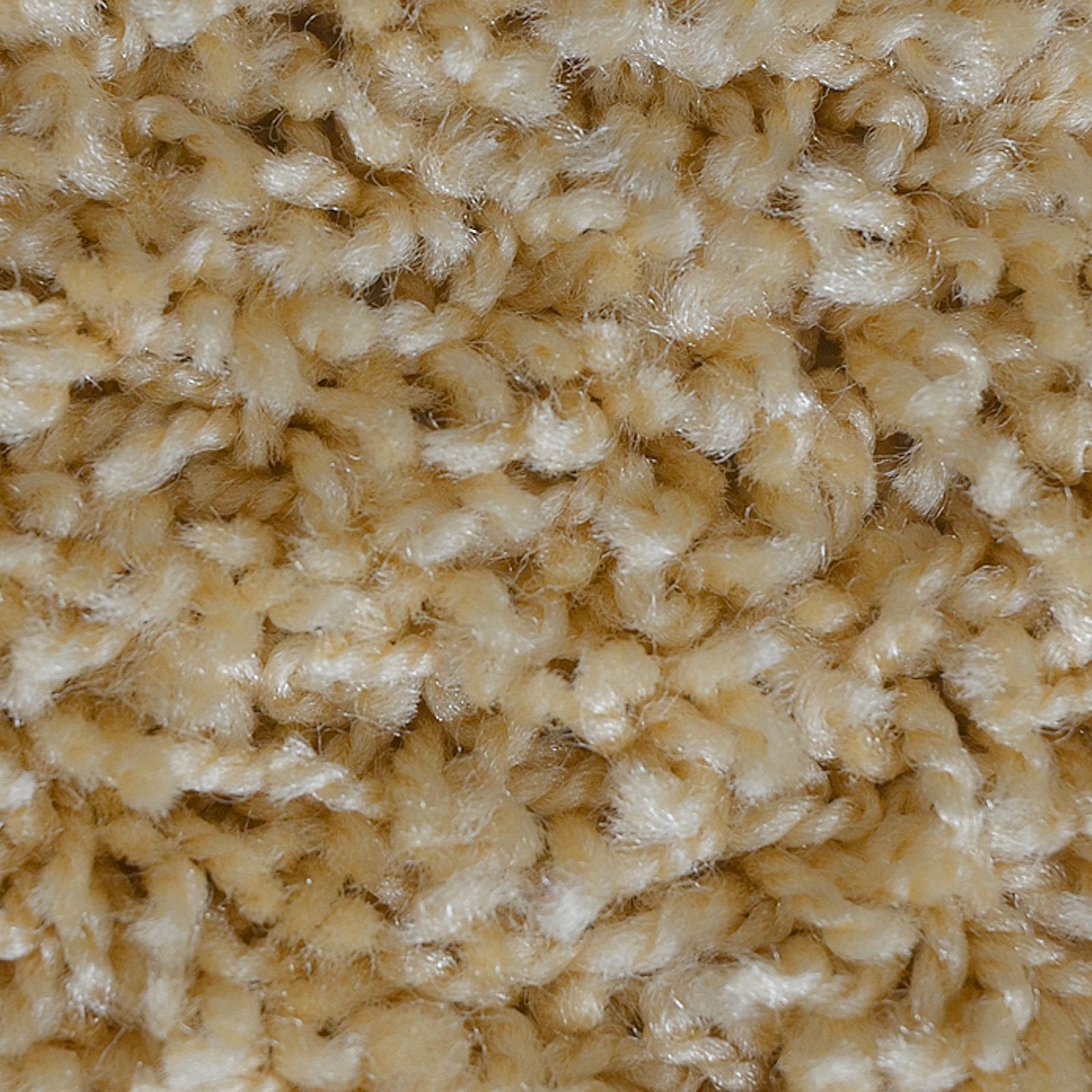F2_Beige | Beige